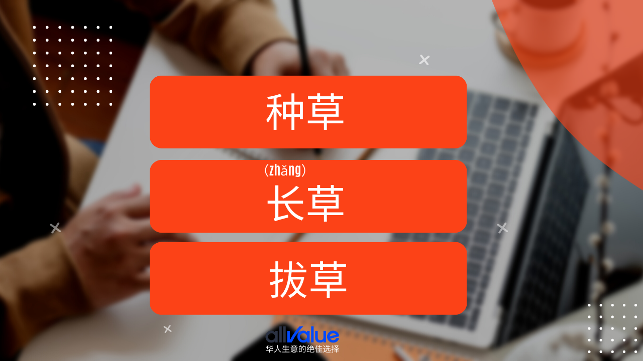 內(nèi)容與商業(yè)相遇：小紅書，2023海外華人商家一定要抓住的商業(yè)風(fēng)向